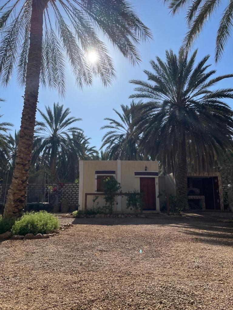 Dar Barka Hotel Kebili Exterior foto