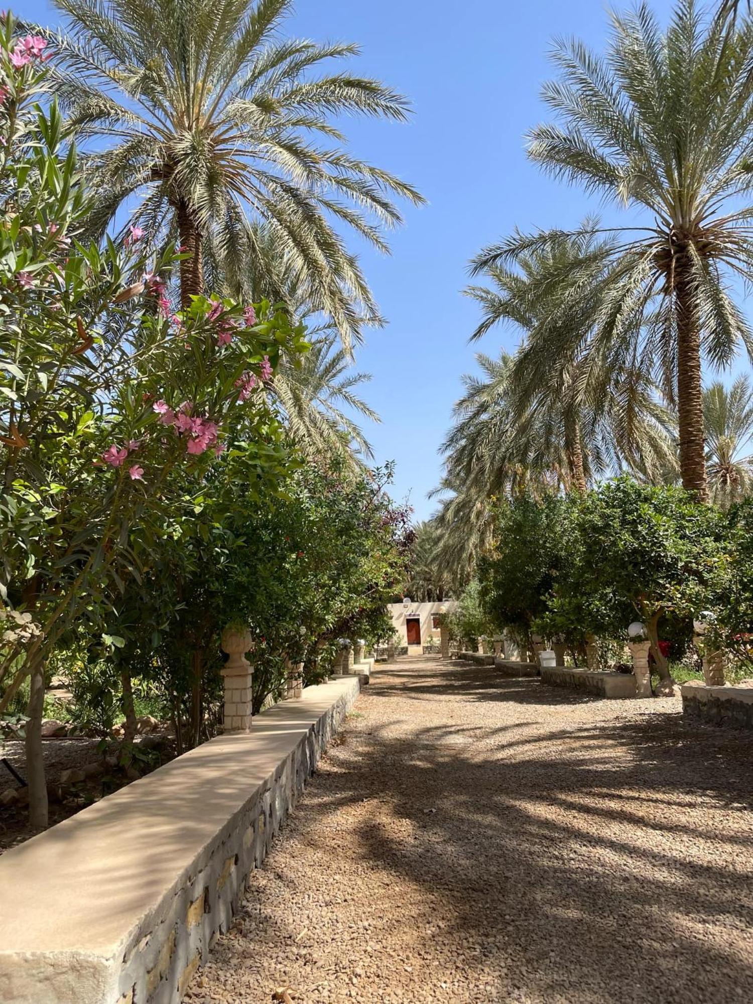 Dar Barka Hotel Kebili Exterior foto