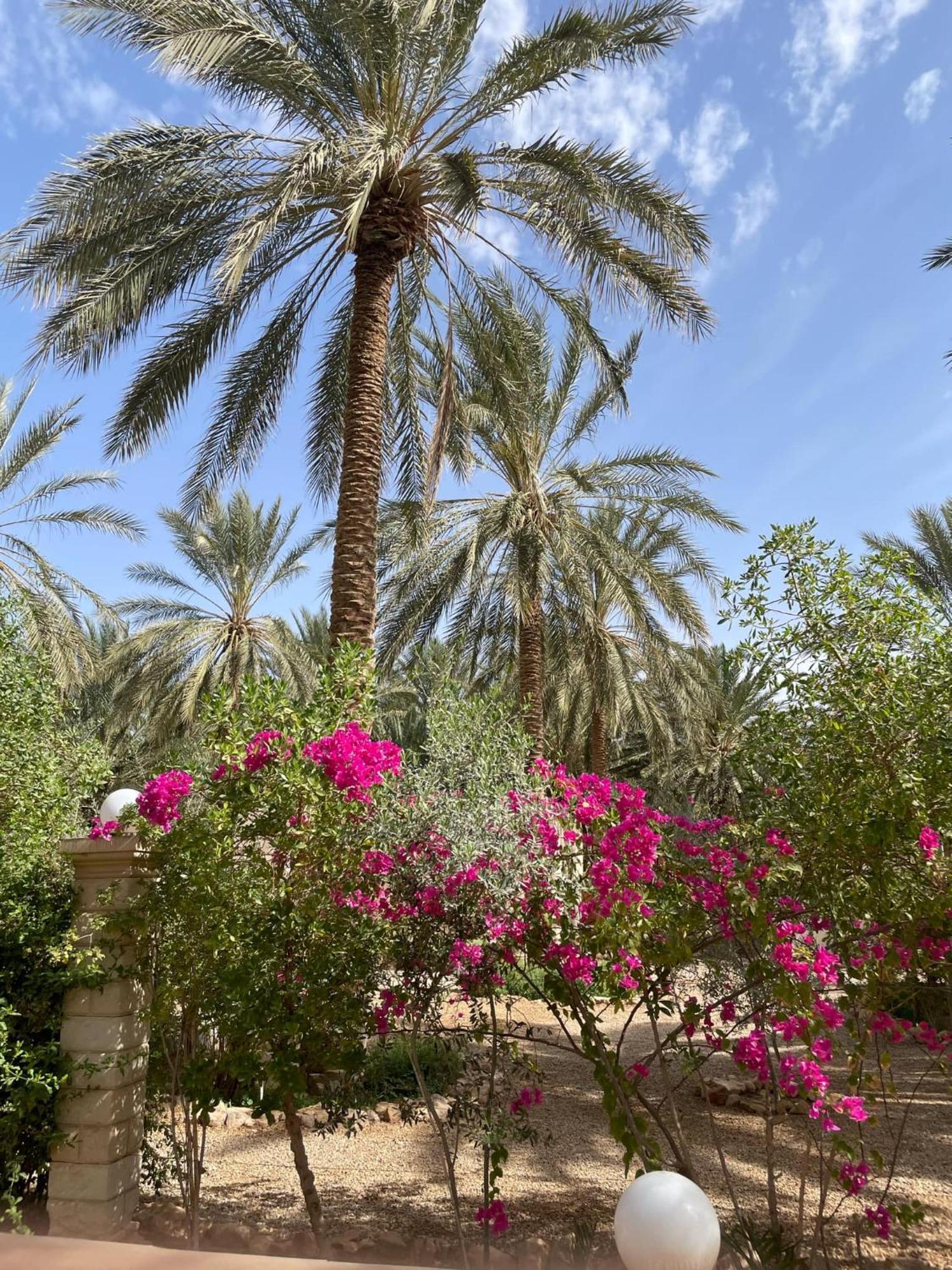 Dar Barka Hotel Kebili Exterior foto