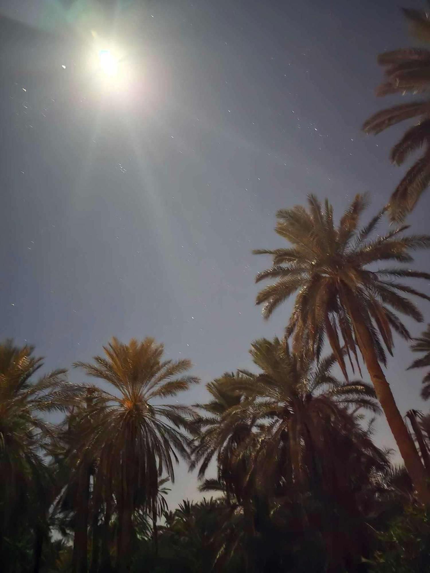Dar Barka Hotel Kebili Exterior foto